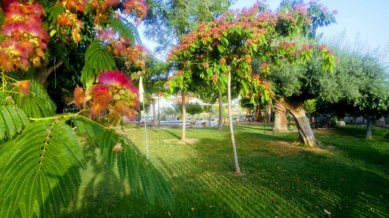 La Toscana Murcia Ngoại thất bức ảnh