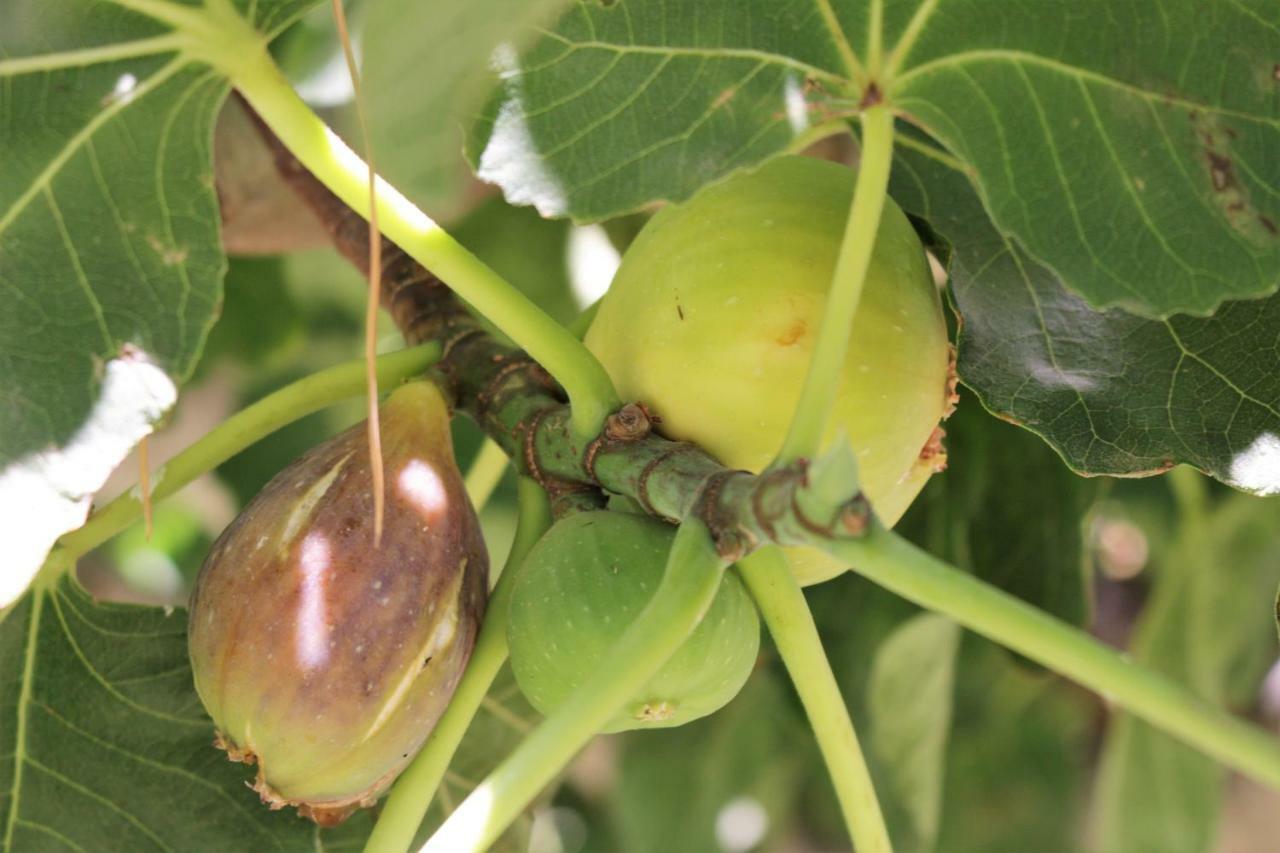 La Toscana Murcia Ngoại thất bức ảnh